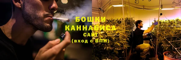 гашик Горняк