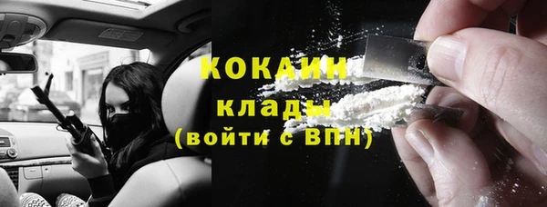 гашик Горняк
