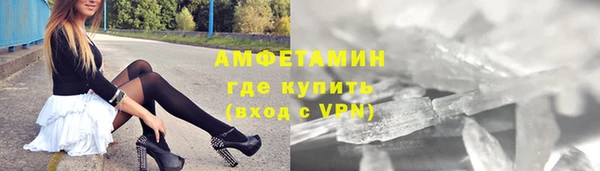 гашик Горняк