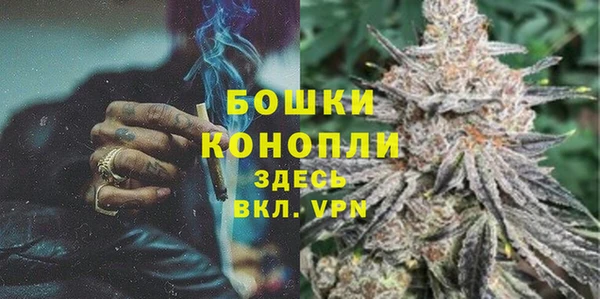 гашик Горняк