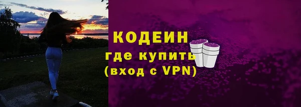 гашик Горняк