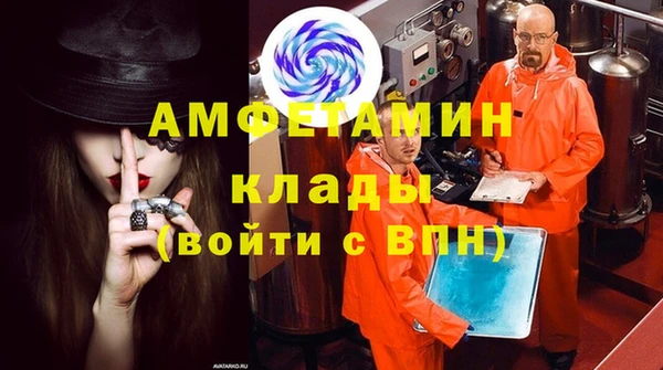 гашик Горняк