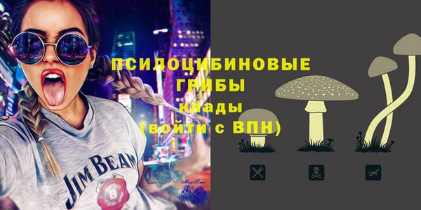 гашик Горняк