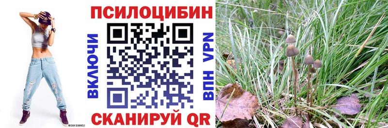Купить закладки  Салават  Псилоцибиновые грибы мухоморы 